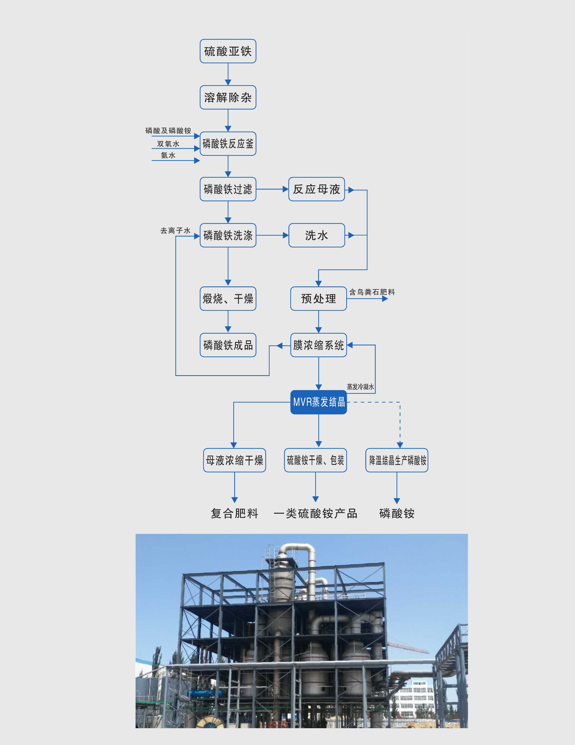 16904604107450.jpg 未标题-4.jpg